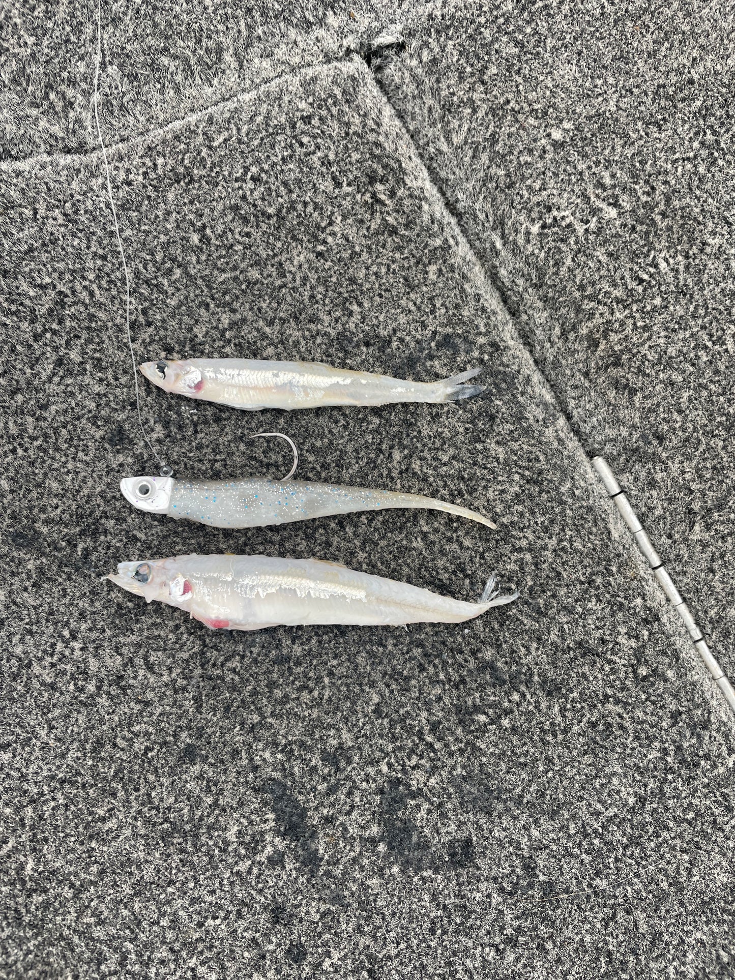 Pro Minnow Head 1/4oz