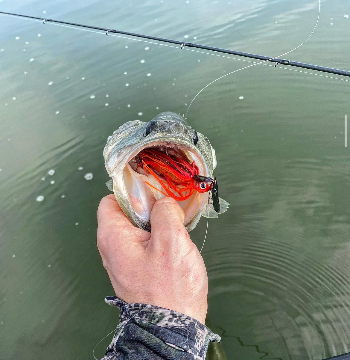 Beef Bladed Jig