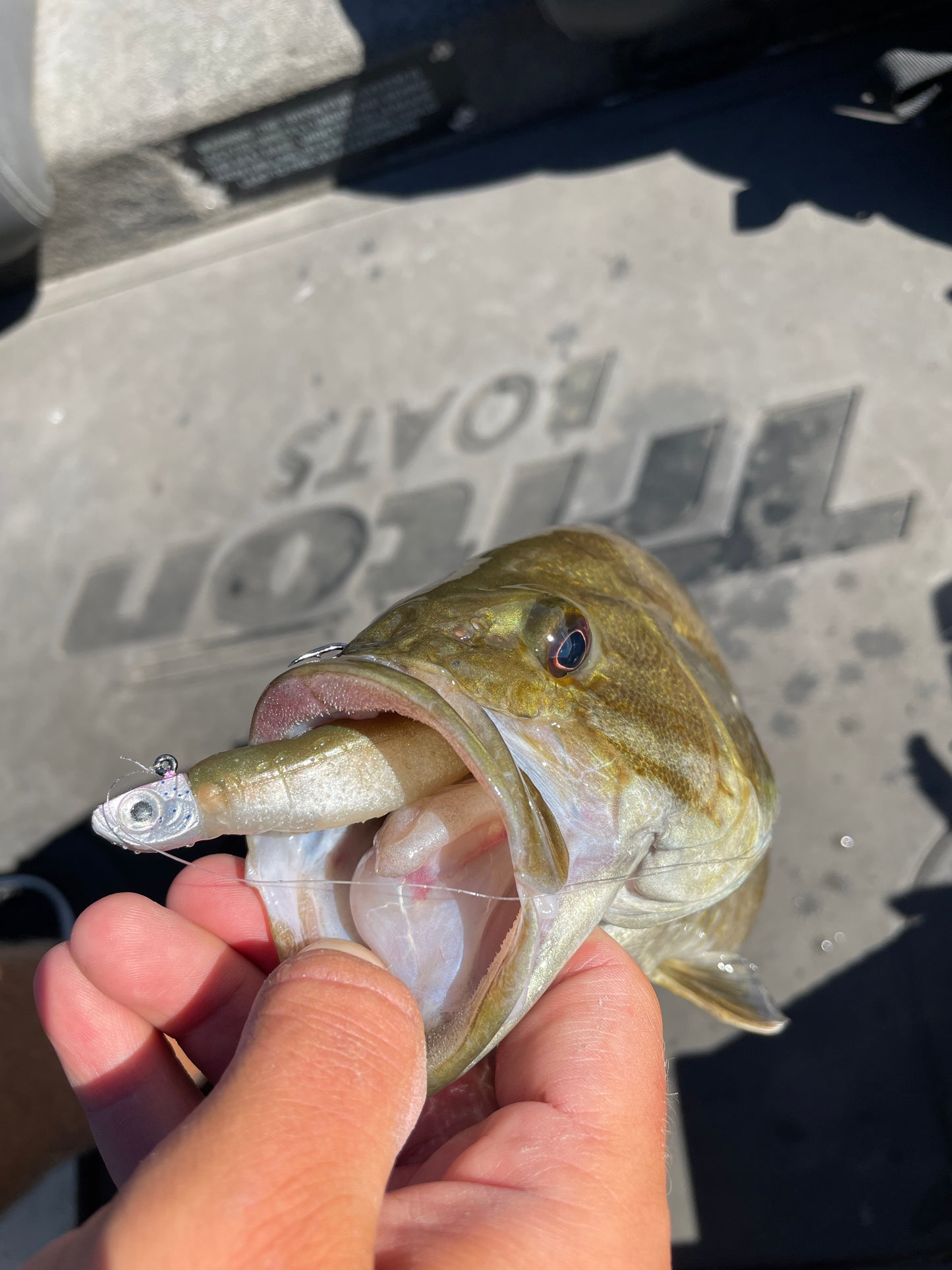 Pro Minnow Head 1/4oz
